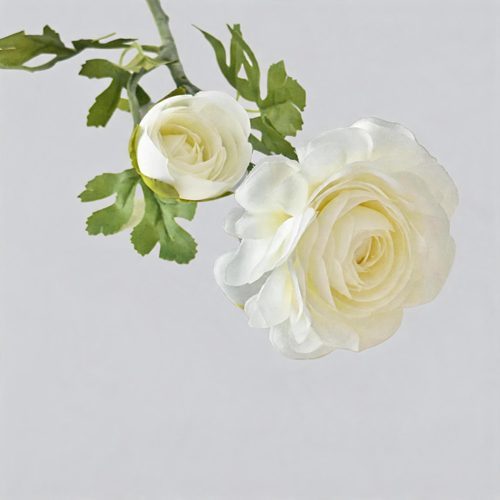 FSARCAN 2-Bloom Ranunculus — White
