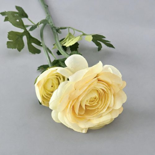 FSARCAN 2-Bloom Ranunculus — Champagne