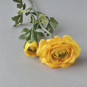 FSARCAN 2-Bloom Ranunculus — Yellow
