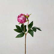 FSARCAN 2-Bloom Peony — Rose Red