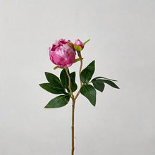FSARCAN 2-Bloom Peony — Rose Red