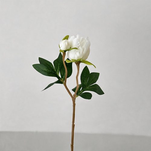 FSARCAN 2-Bloom Peony — White