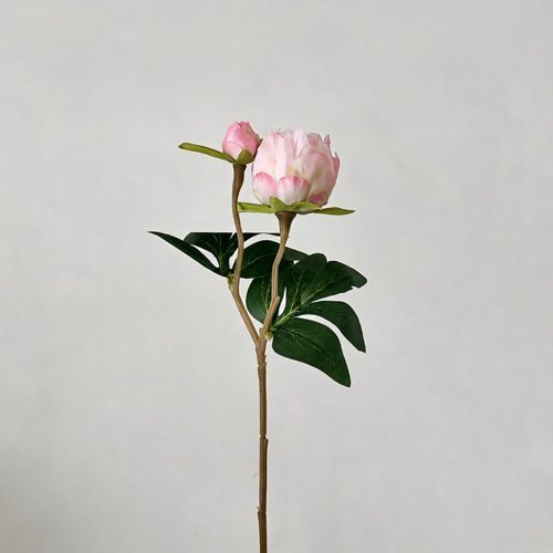 FSARCAN 2-Bloom Peony — Pink