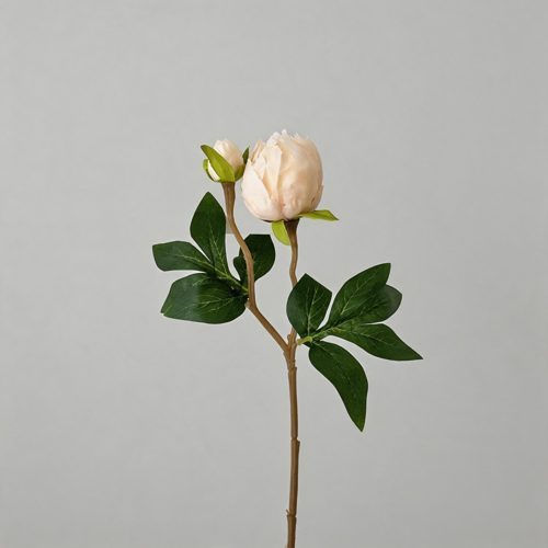 FSARCAN 2-Bloom Peony — Champagne