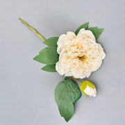 FSARCAN 2-Bloom Peony — White