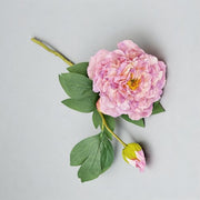 FSARCAN 2-Bloom Peony — Purple