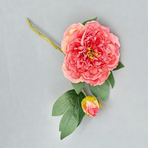 FSARCAN 2-Bloom Peony — Watermelon Red