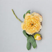 FSARCAN 2-Bloom Peony — Yellow