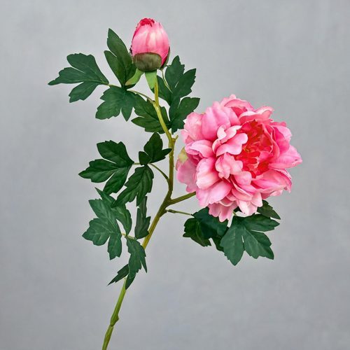 FSARCAN 2-Bloom Peony — Rose Red