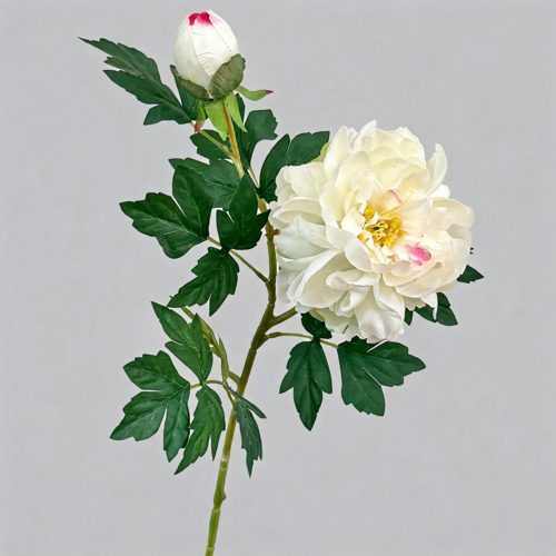 FSARCAN 2-Bloom Peony — White