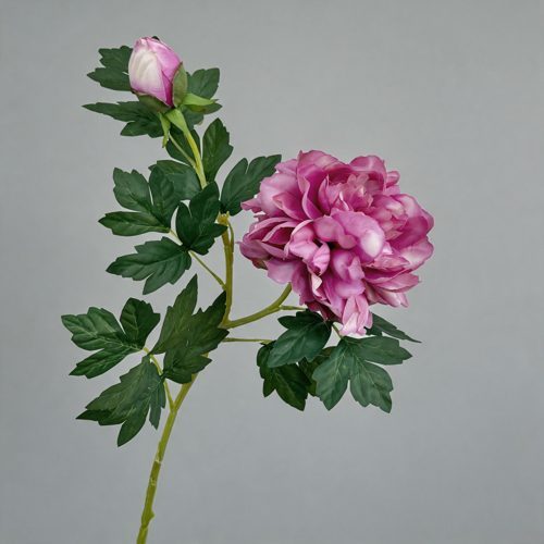 FSARCAN 2-Bloom Peony — Purple