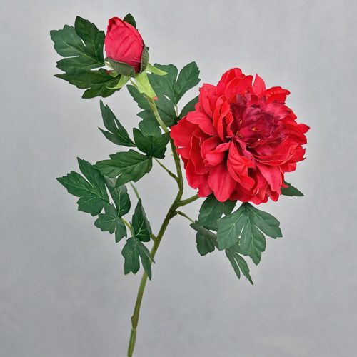 FSARCAN 2-Bloom Peony — Red