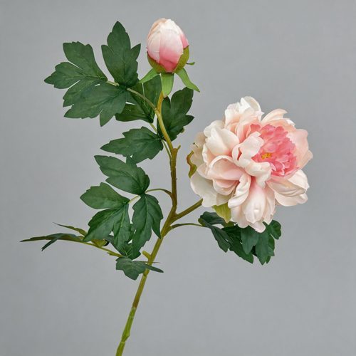FSARCAN 2-Bloom Peony — Champagne Pink