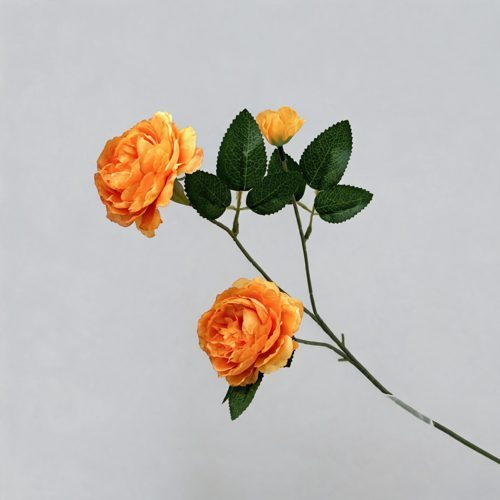 FSARCAN 3-Bloom Ranunculus — Orange
