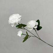 FSARCAN 3-Bloom Ranunculus — White