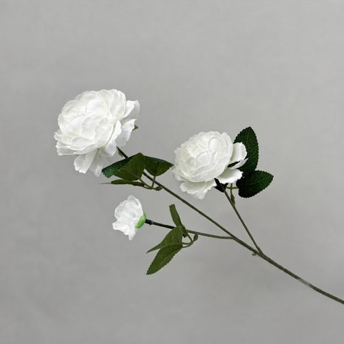 FSARCAN 3-Bloom Ranunculus — White