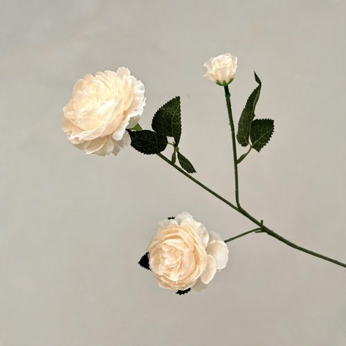 FSARCAN 3-Bloom Ranunculus — Champagne