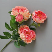 FSARCAN 4-Bloom Peony — Orange Yellow