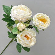 FSARCAN 4-Bloom Peony — White