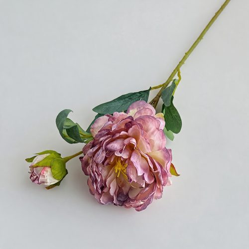 FSARCAN Antique-Edge Peony — Light Purple