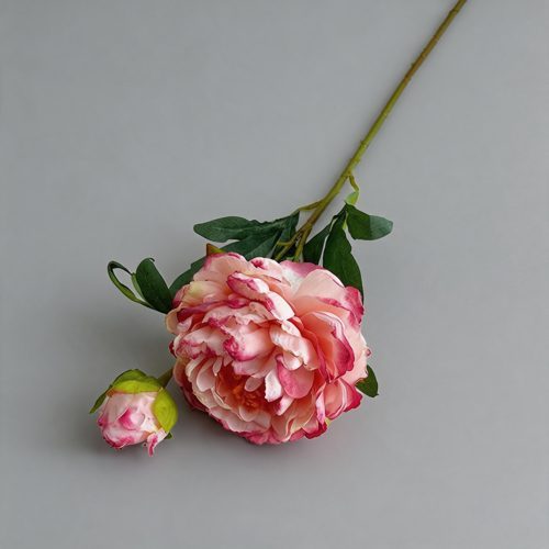 FSARCAN Antique-Edge Peony — Deep Pink