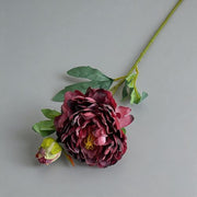 FSARCAN Antique-Edge Peony — Burgundy