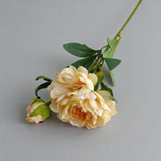 FSARCAN Antique-Edge Peony — Champagne