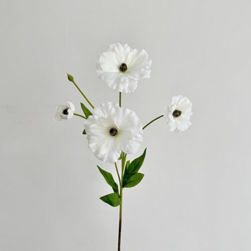 FSARCAN Butterfly Ranunculus — White