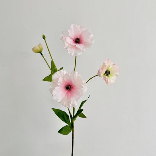 FSARCAN Butterfly Ranunculus — Pink
