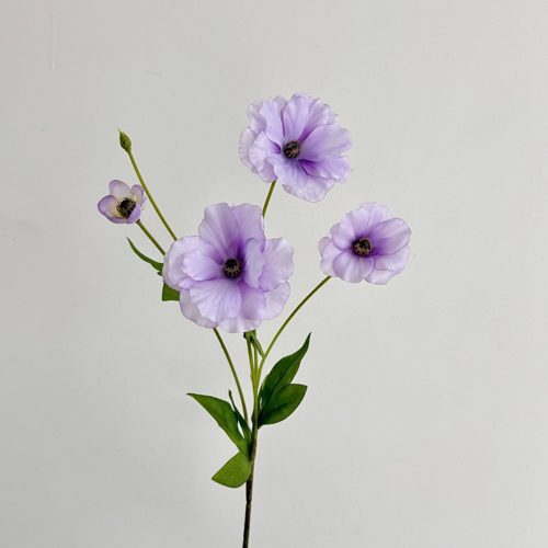FSARCAN Butterfly Ranunculus — Purple