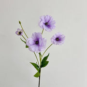 FSARCAN Butterfly Ranunculus — Purple