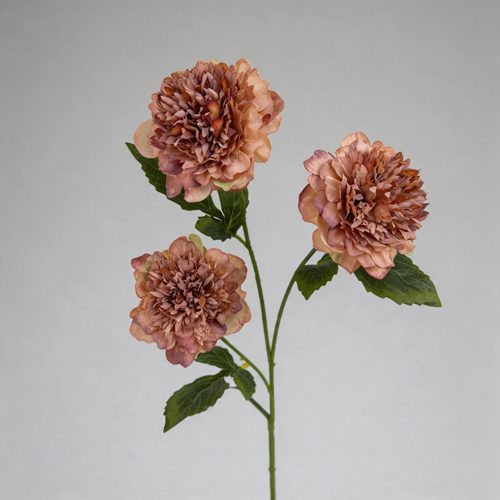 FSARCAN 3-Bloom Pomegranate-Style Peony — Coffee