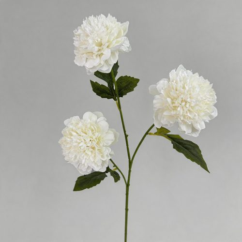 FSARCAN 3-Bloom Pomegranate-Style Peony — White