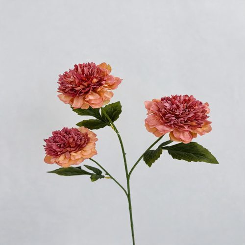 FSARCAN 3-Bloom Pomegranate-Style Peony — Autumn Chrysanthemum