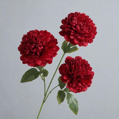 FSARCAN 3-Bloom Pomegranate-Style Peony — Red