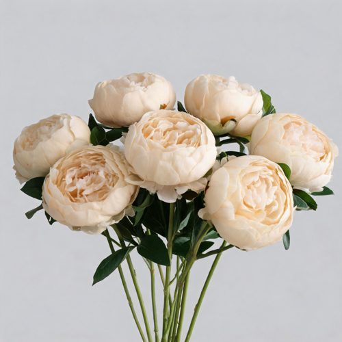 FSARCAN 7-Bloom Cupped Peony — Light Champagne