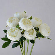 FSARCAN 7-Bloom Cupped Peony — White