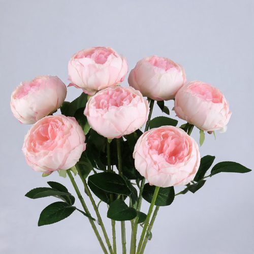 FSARCAN 7-Bloom Cupped Peony — Pink Center