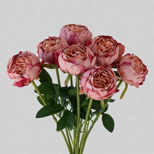 FSARCAN 7-Bloom Cupped Peony — Dusty Mauve