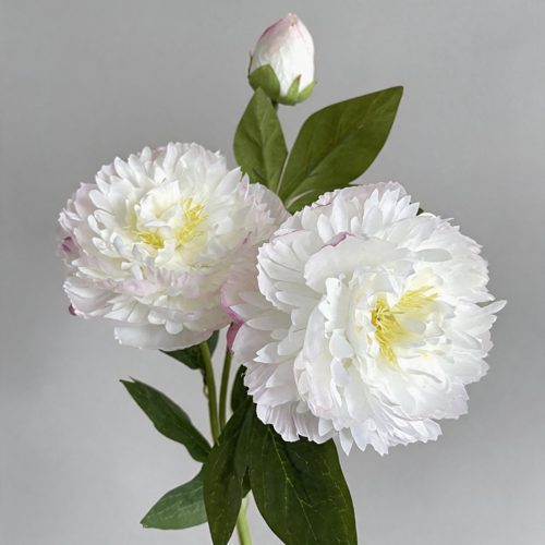 FSARCAN 3-Bloom Garden Peony — Cream Pink
