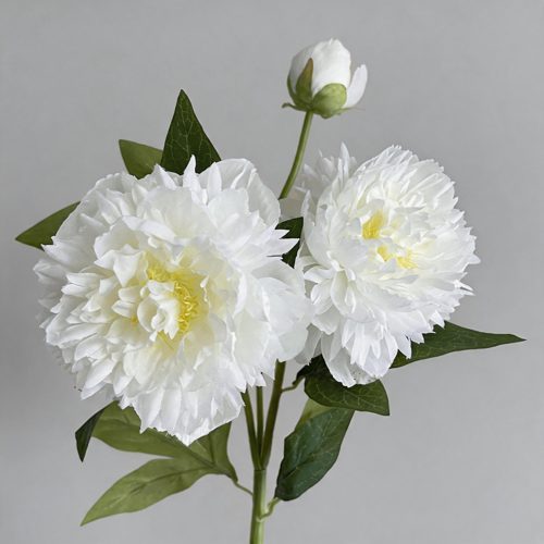 FSARCAN 3-Bloom Garden Peony — White