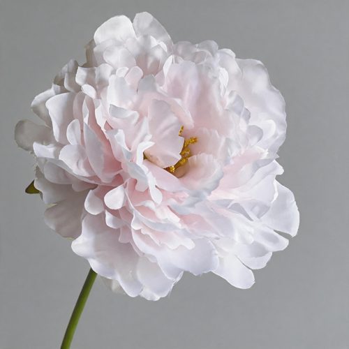 FSARCAN Large-Bloom Peony — Light Pink