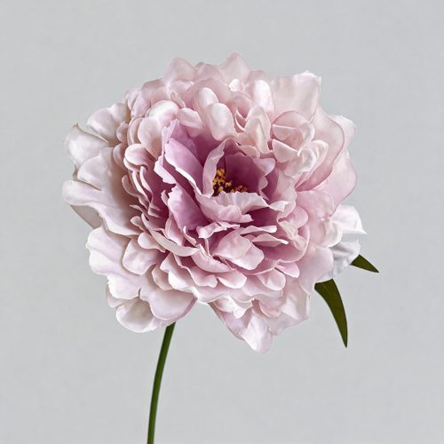 FSARCAN Large-Bloom Peony — Purple