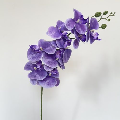 FSARCAN 9-Bloom Phalaenopsis Orchid — Bright Purple