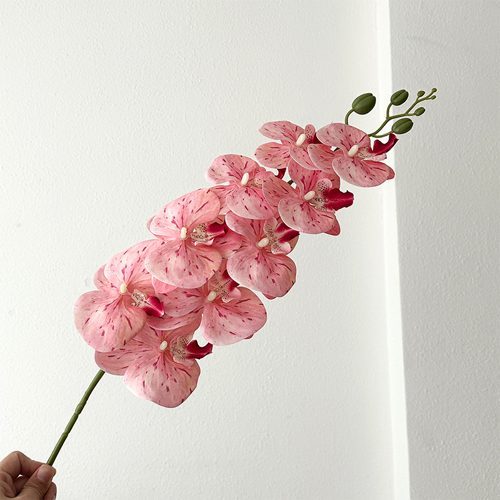 FSARCAN 9-Bloom Phalaenopsis Orchid — Speckled Pink
