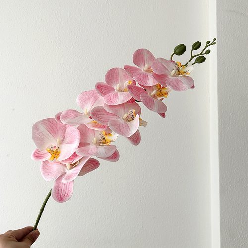 FSARCAN 9-Bloom Phalaenopsis Orchid — Light Pink