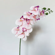 FSARCAN 9-Bloom Phalaenopsis Orchid — White Purple