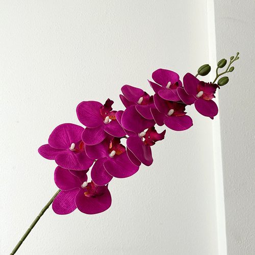 FSARCAN 9-Bloom Phalaenopsis Orchid — Purple