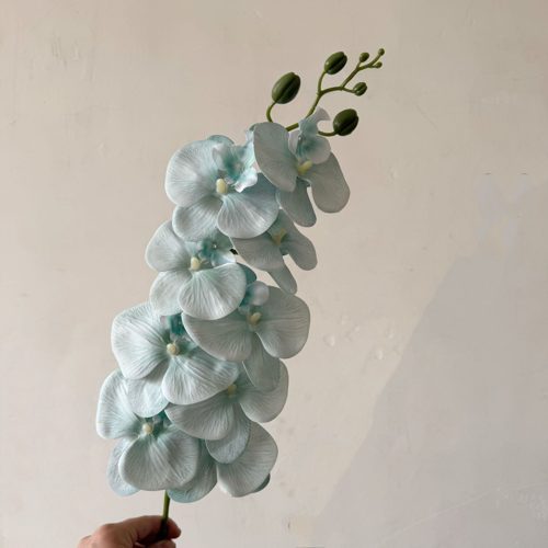 FSARCAN 9-Bloom Phalaenopsis Orchid — Mint