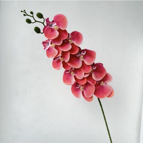 FSARCAN 9-Bloom Phalaenopsis Orchid — Grapefruit